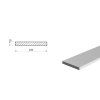 Płaskownik aluminiowy 100x10 (EN 6060)